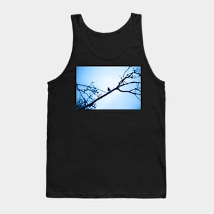 Starling Tank Top